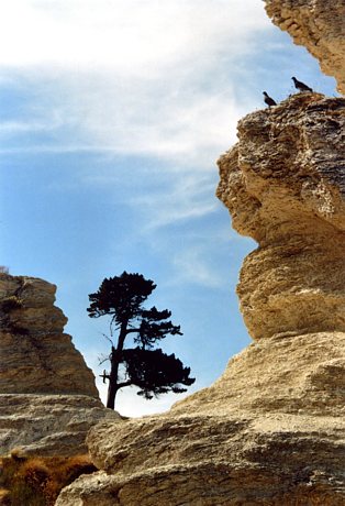 Kaikoura (1)