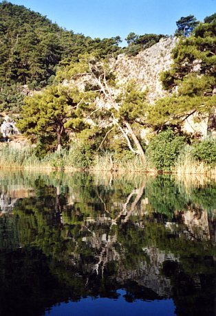 Spiegelungen