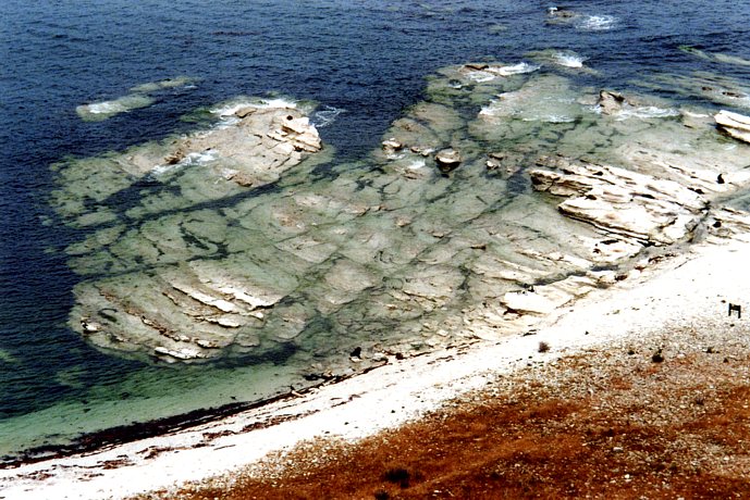Kaikoura (2)